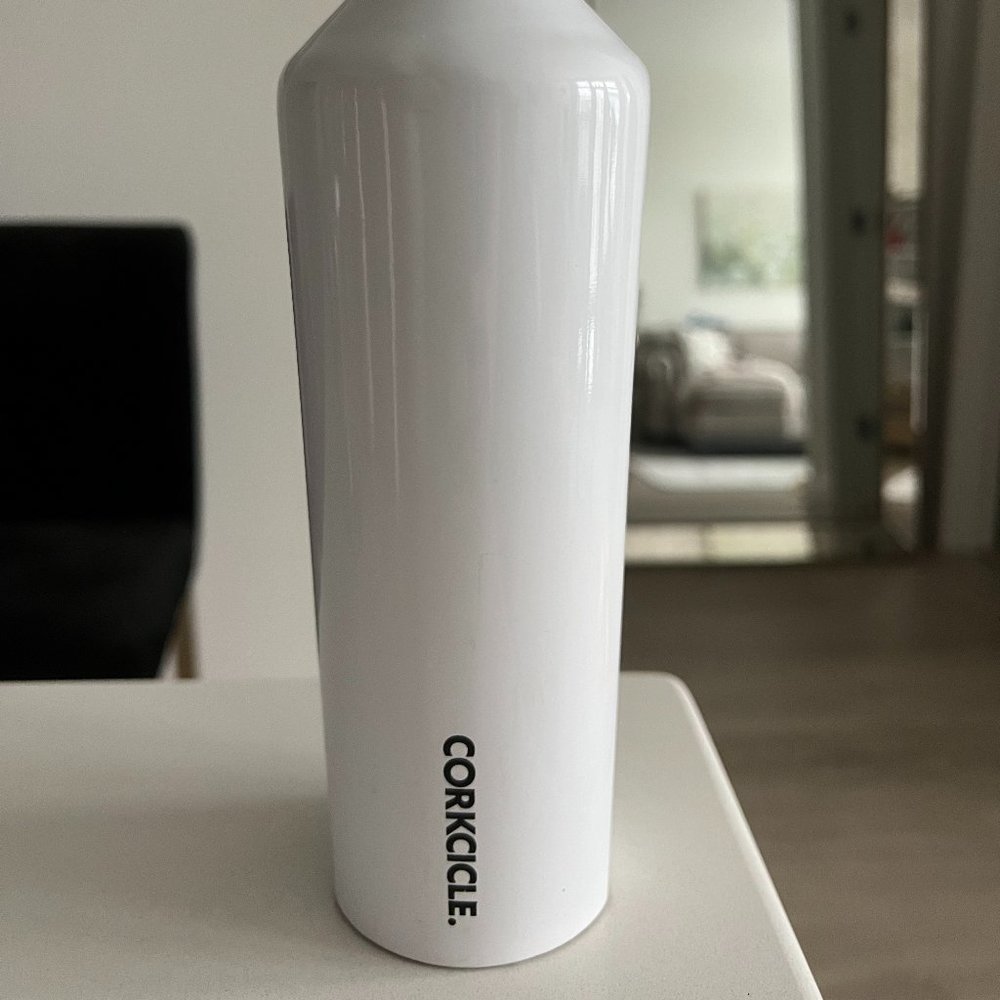 Corkcicle Water Bottle